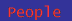 People who run this Project